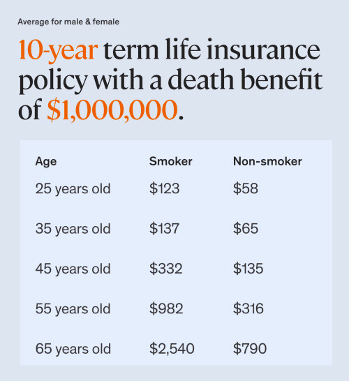 Understanding Term Life Insurance Rates: