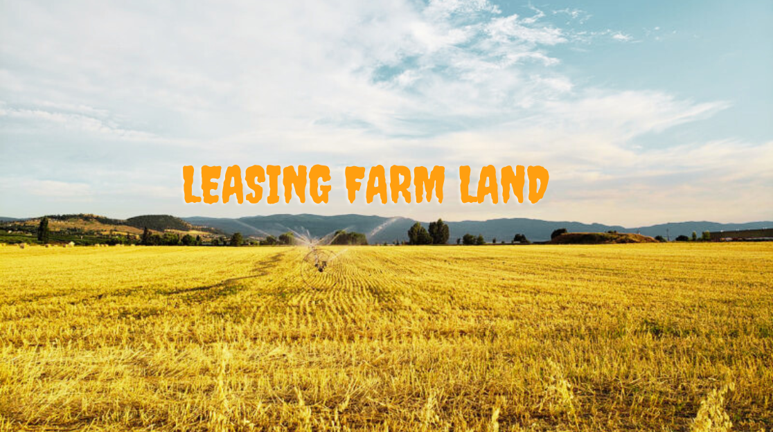 leasing farm land